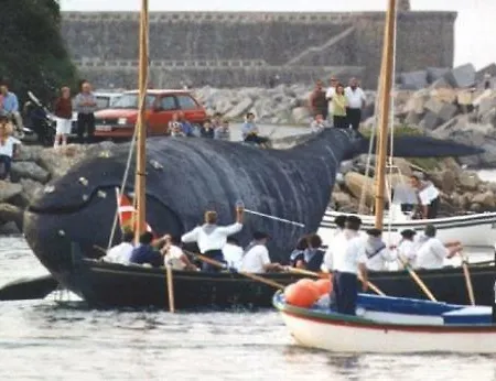 Apartament En El Corazon De - Donostia -reformado- Wifi Orio