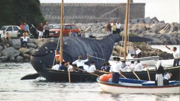 Διαμέρισμα En El Corazon De - Donostia -reformado- Wifi Orio